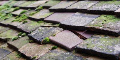 Pensax roof repair costs